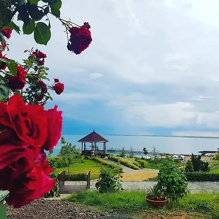 Beach Krasi ラヴダ